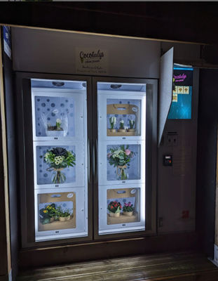Máquina de venta de cajas de almacenamiento de mercancías con compresor de gas verde R290