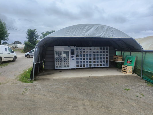 R290 Compresor de gas verde Máquina de venta de alimentos frescos Alta durabilidad y seguridad