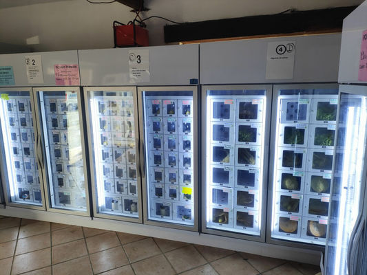 Máquina distribuidora de huevos Android 11 para productores agrícolas a pequeña escala 24/7 Conveniencia y eficiencia